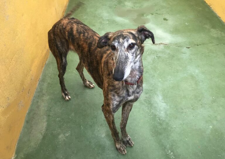 multimedia-foto72371-340-1