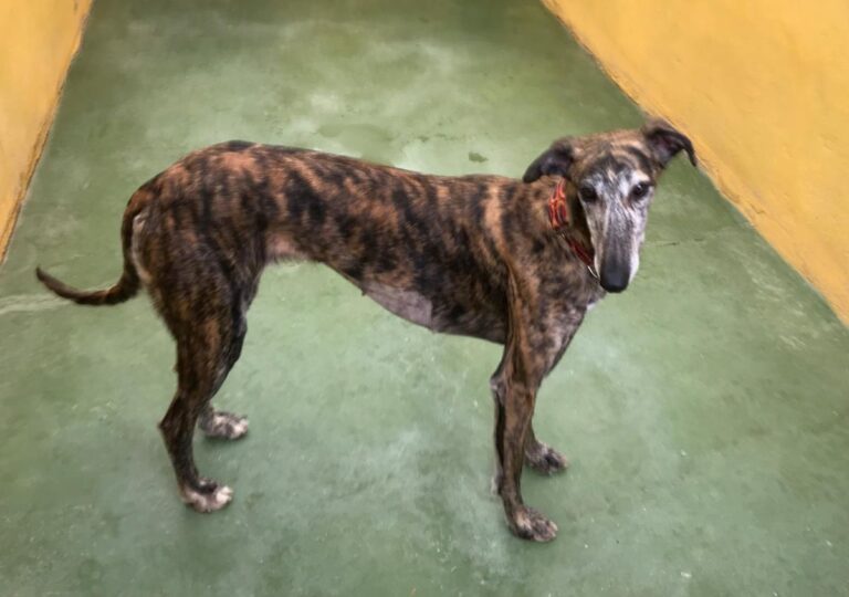 multimedia-foto72373-340-1