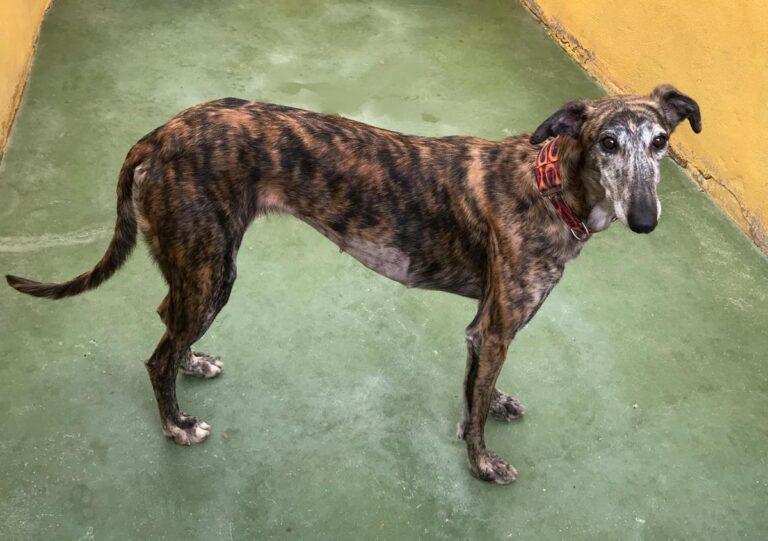 multimedia-foto72374-340-1