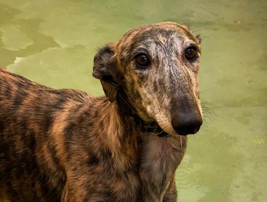 multimedia-foto72375-341-1