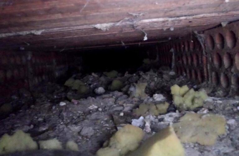 multimedia-foto72423-397-1