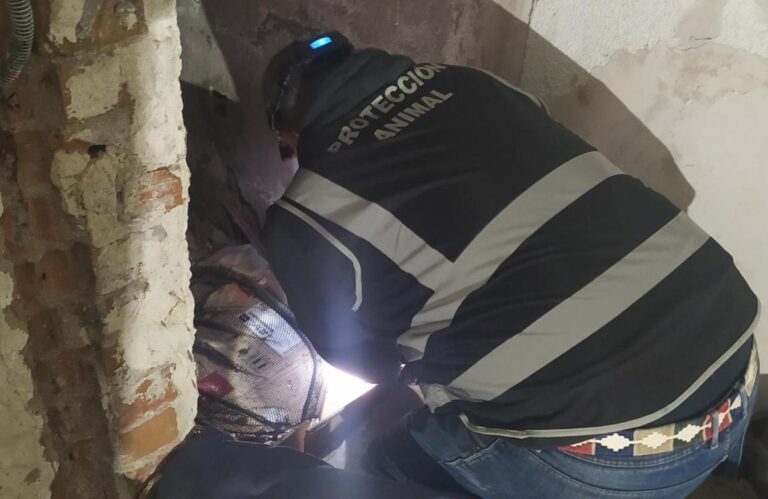 multimedia-foto72424-397-1