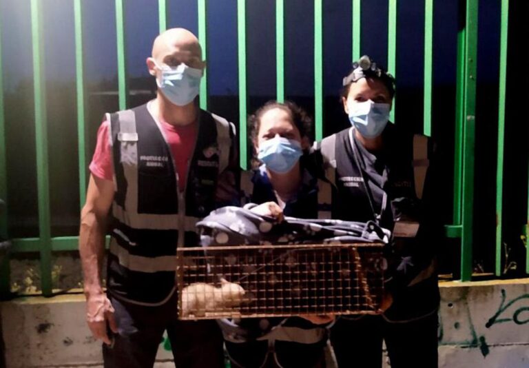 multimedia-foto72427-397-1