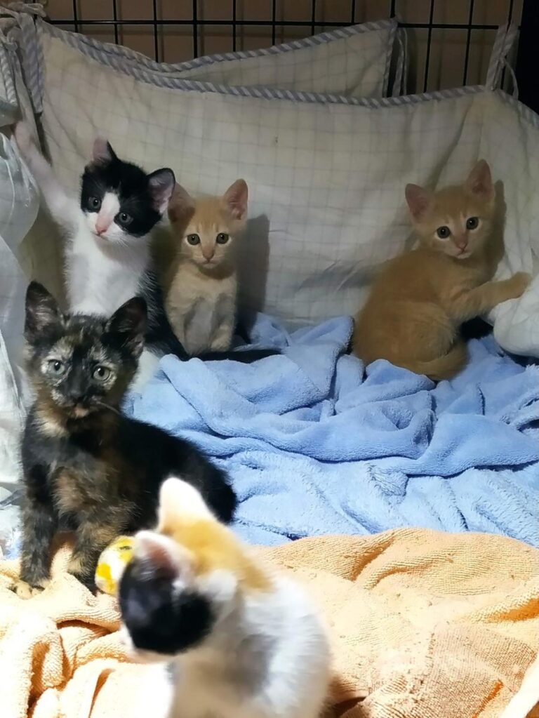 multimedia-foto72430-488-1