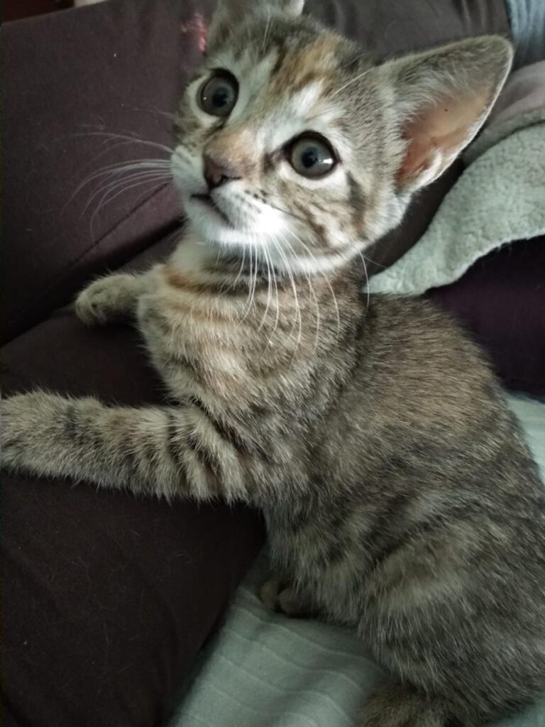 multimedia-foto72449-552-1