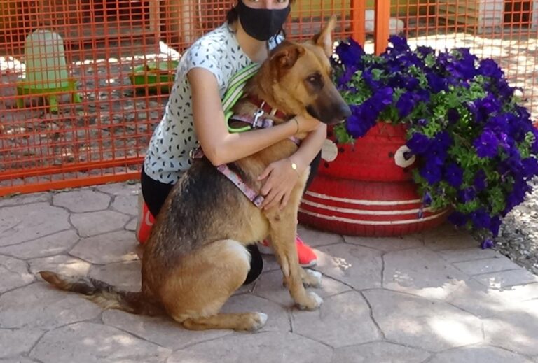 multimedia-foto72467-885-1