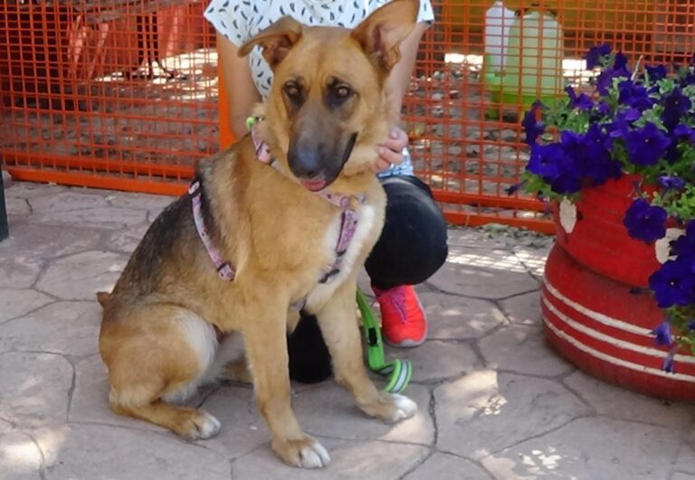 multimedia-foto72468-885-1