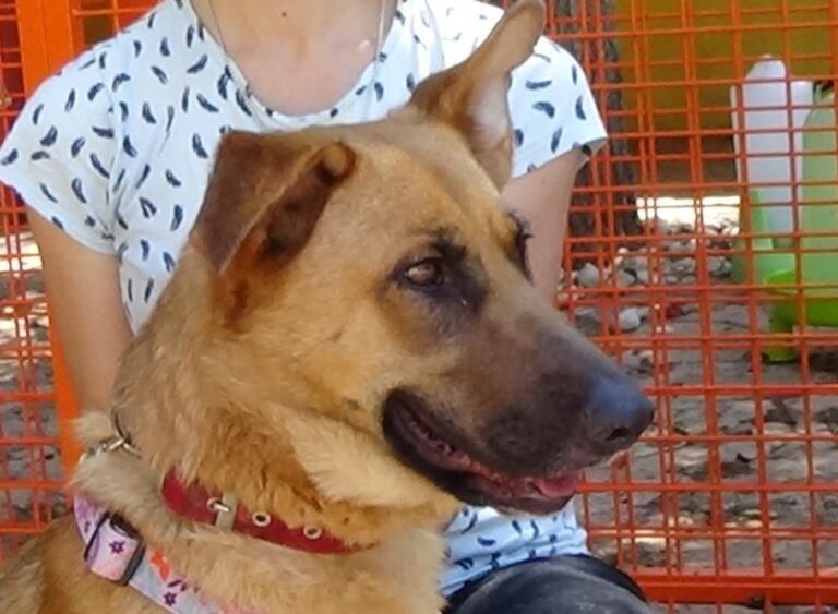 multimedia-foto72470-886-1