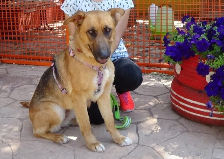 multimedia-foto72471-886-1