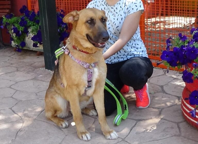 multimedia-foto72472-886-1