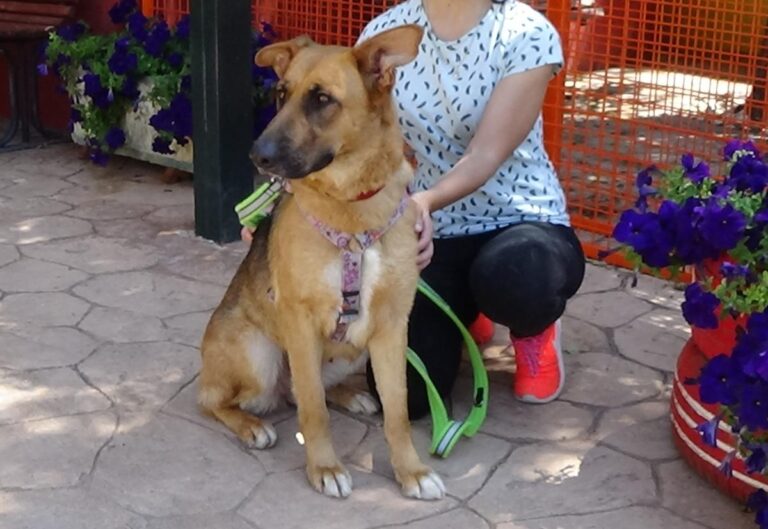 multimedia-foto72473-886-1