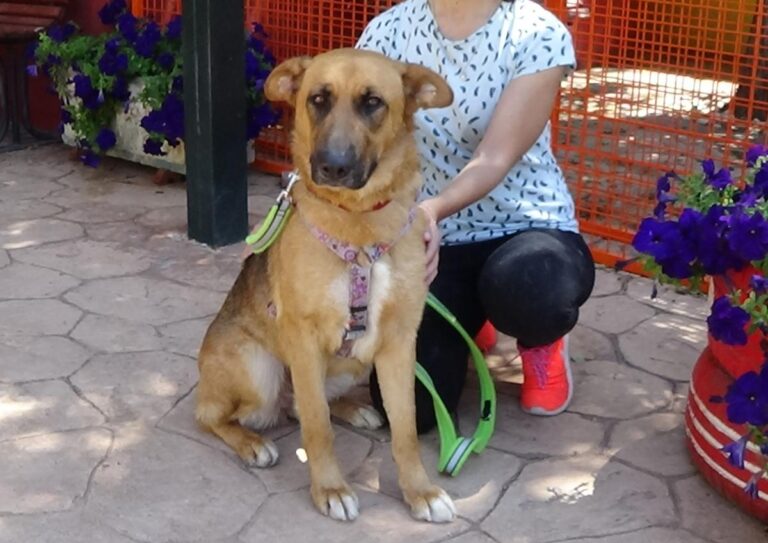 multimedia-foto72474-887-1