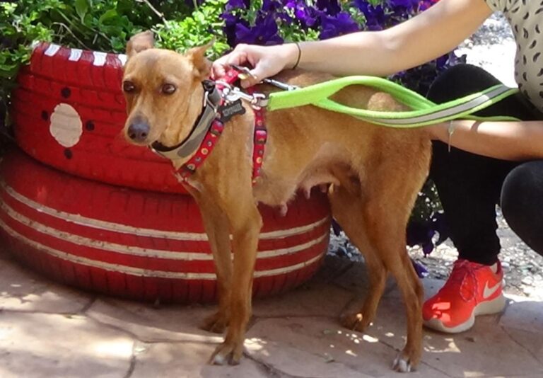 multimedia-foto72475-39-1