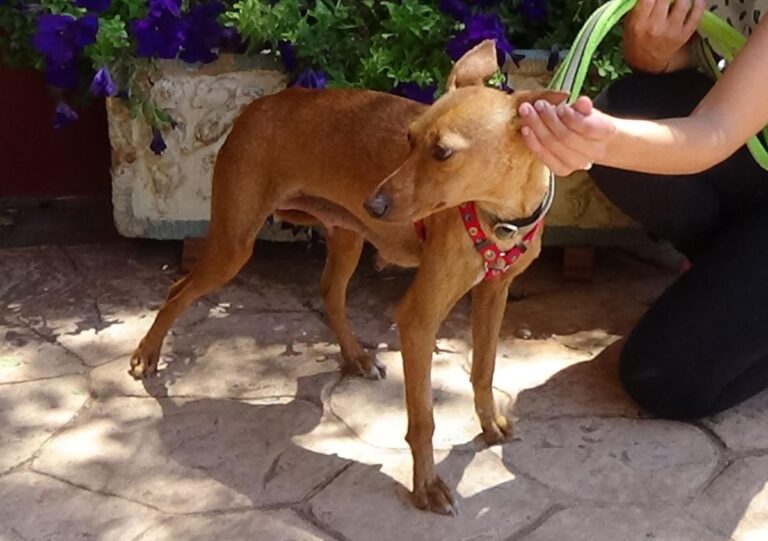 multimedia-foto72476-40-1