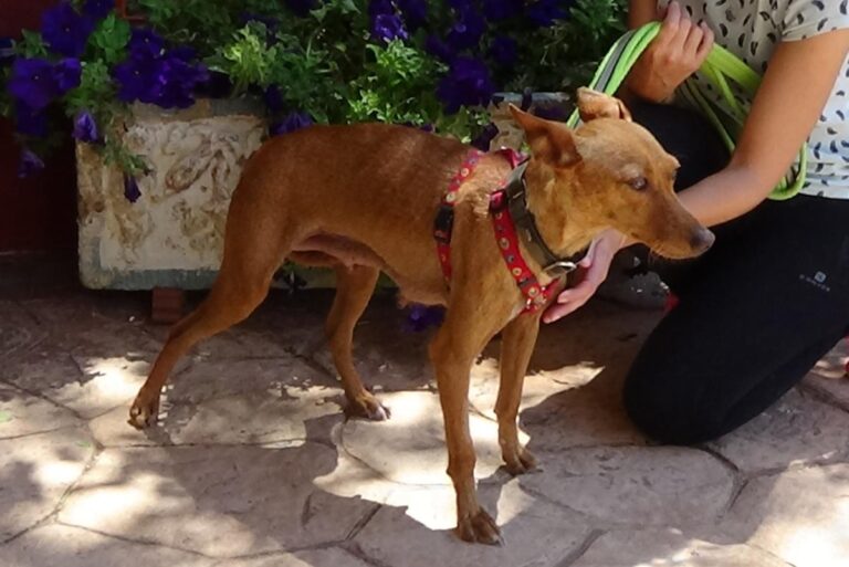 multimedia-foto72477-40-1