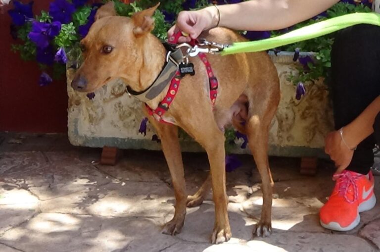 multimedia-foto72479-40-1