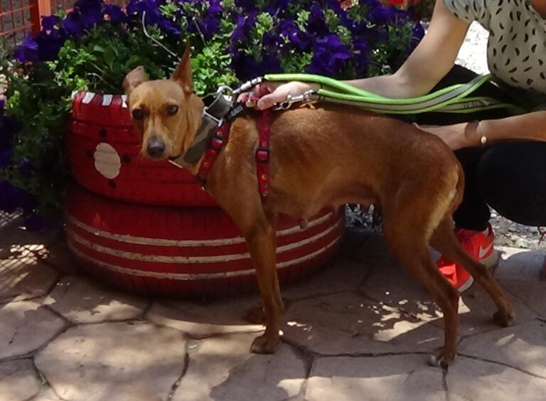 multimedia-foto72480-40-1