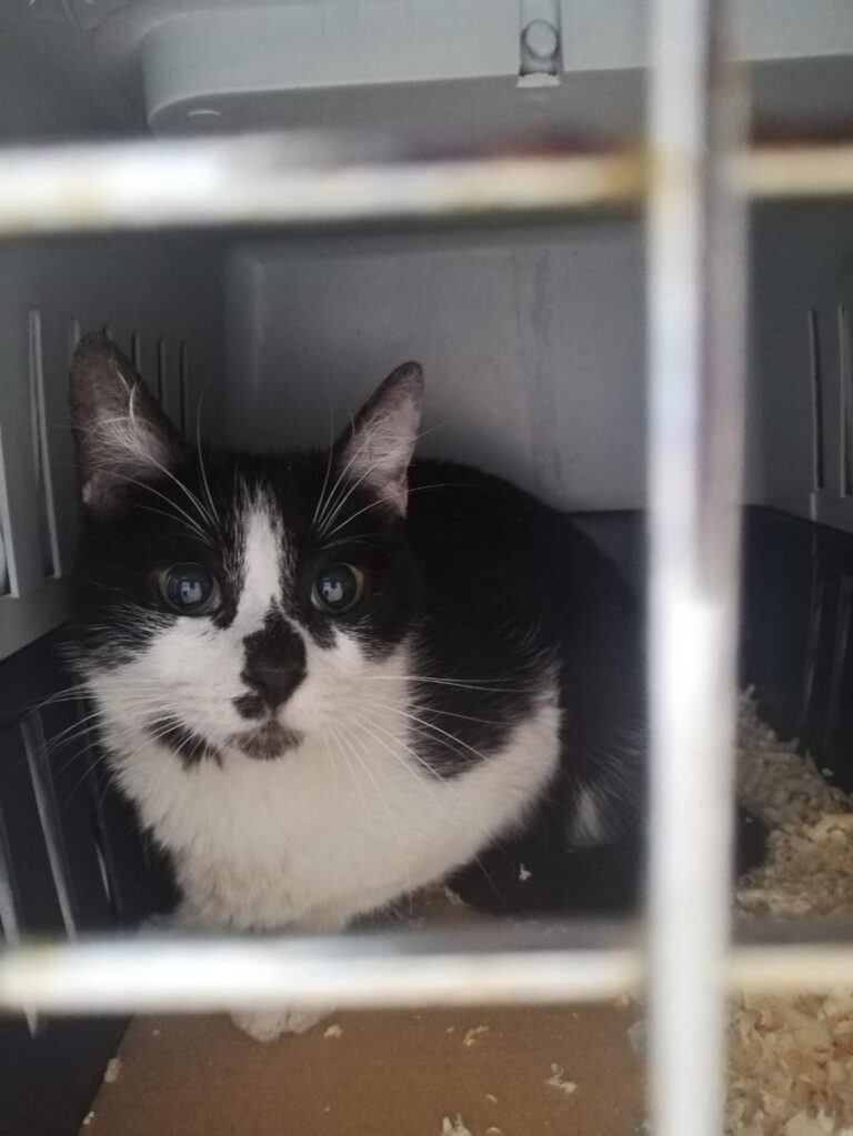 multimedia-foto72482-143-1