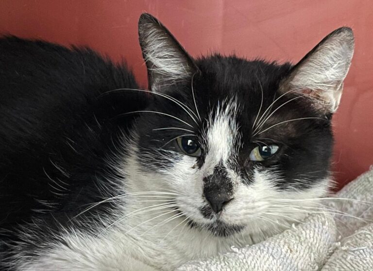 multimedia-foto72486-218-1