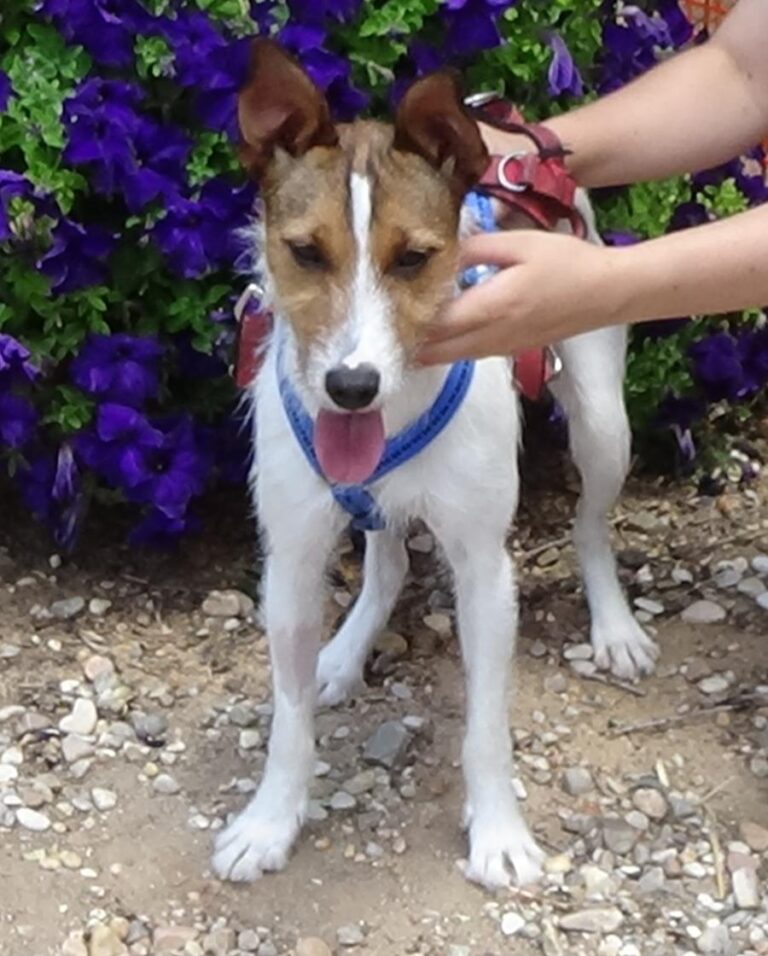 multimedia-foto72507-246-1