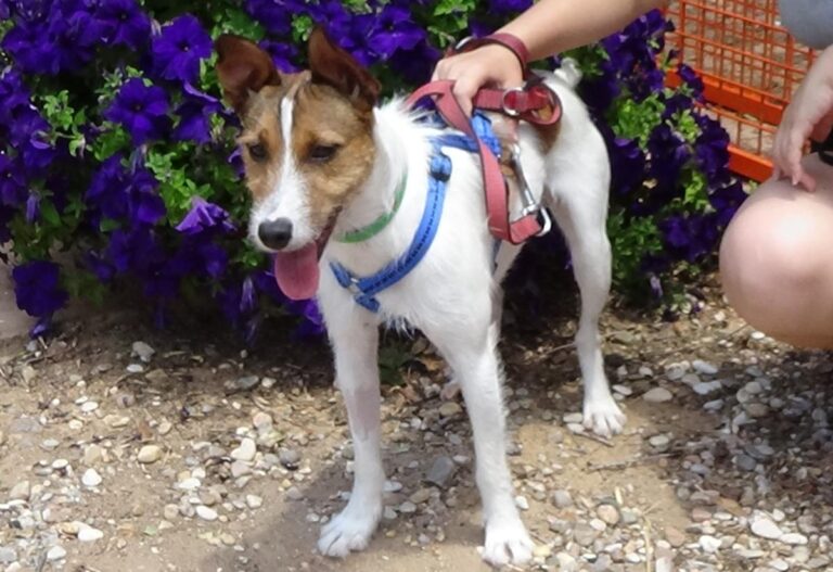 multimedia-foto72508-246-1