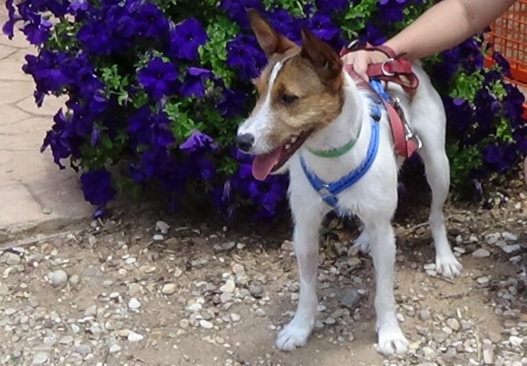 multimedia-foto72509-246-1