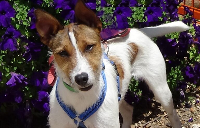 multimedia-foto72510-247-1