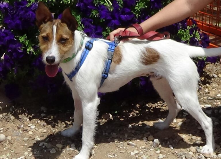 multimedia-foto72511-247-1