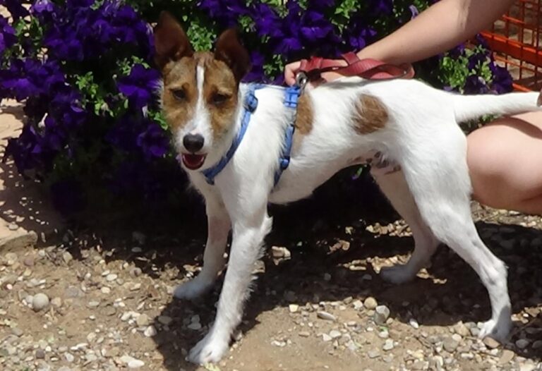 multimedia-foto72512-247-1