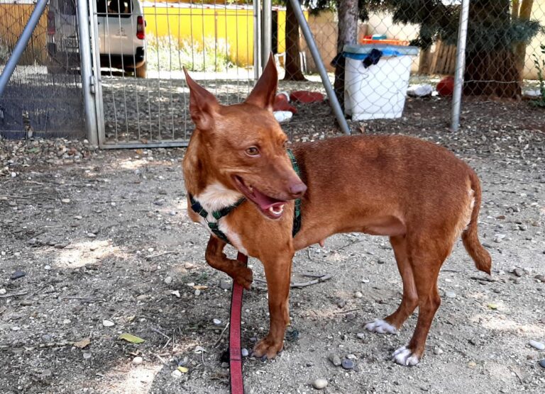 multimedia-foto72516-336-1