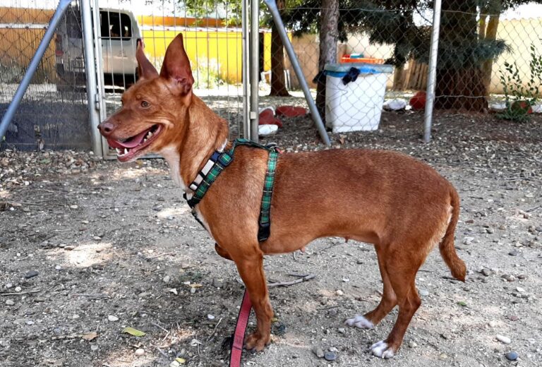 multimedia-foto72517-336-1