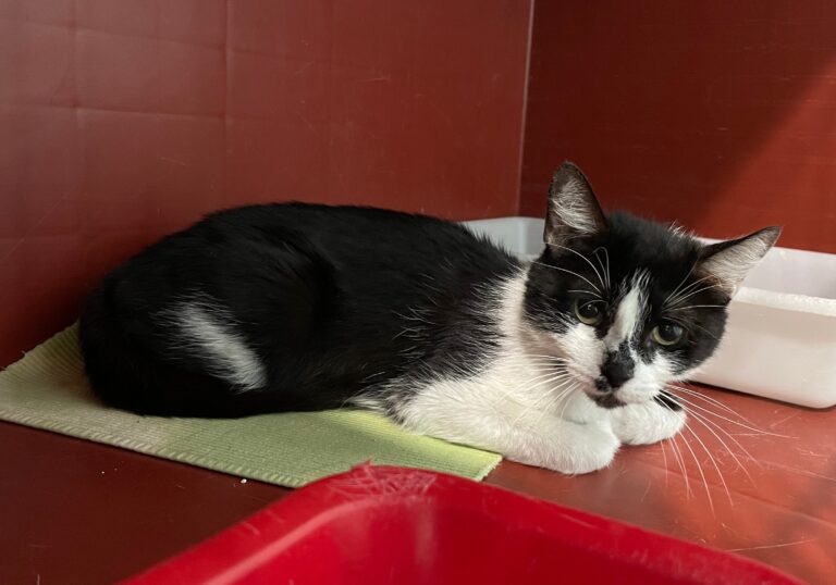 multimedia-foto72528-879-1