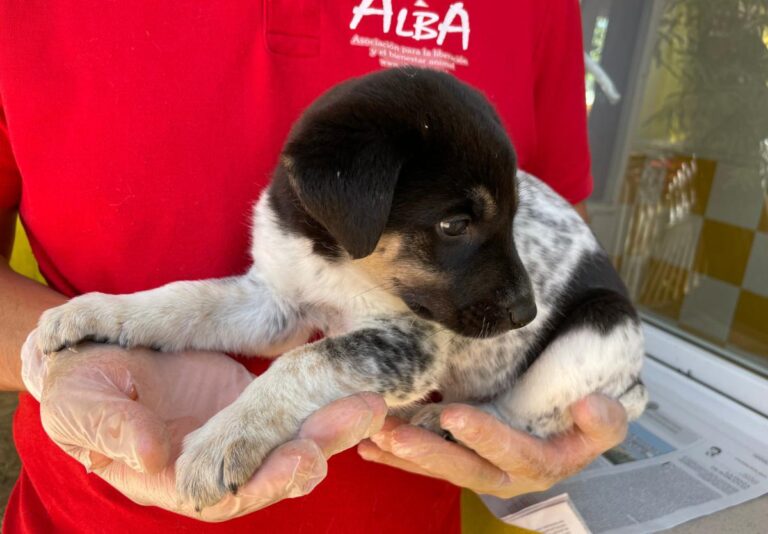 multimedia-foto72552-935-1