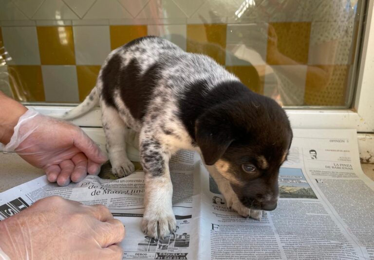 multimedia-foto72554-936-1