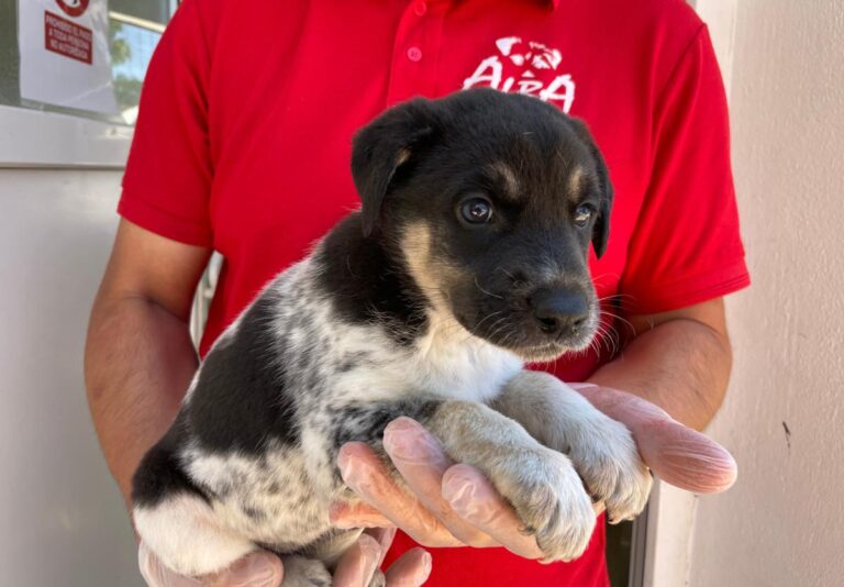 multimedia-foto72555-936-1