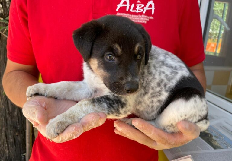 multimedia-foto72556-936-1