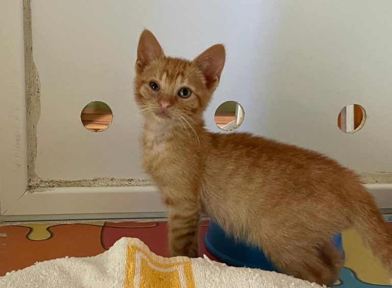 multimedia-foto72593-107-1