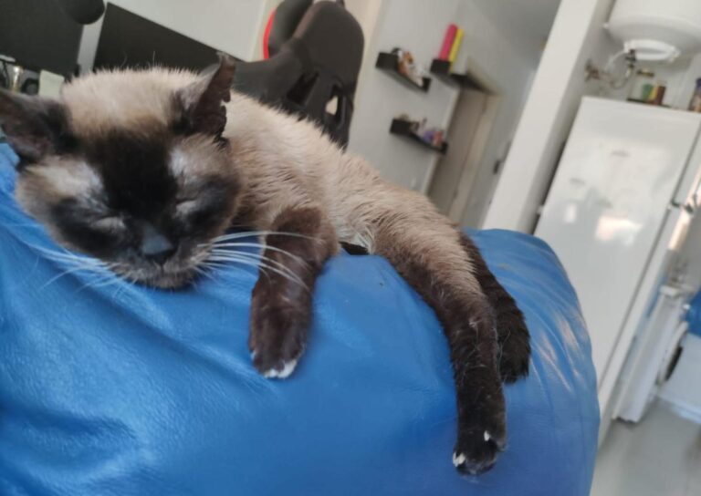 multimedia-foto72604-612-1