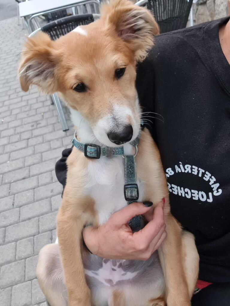 multimedia-foto72728-87-1