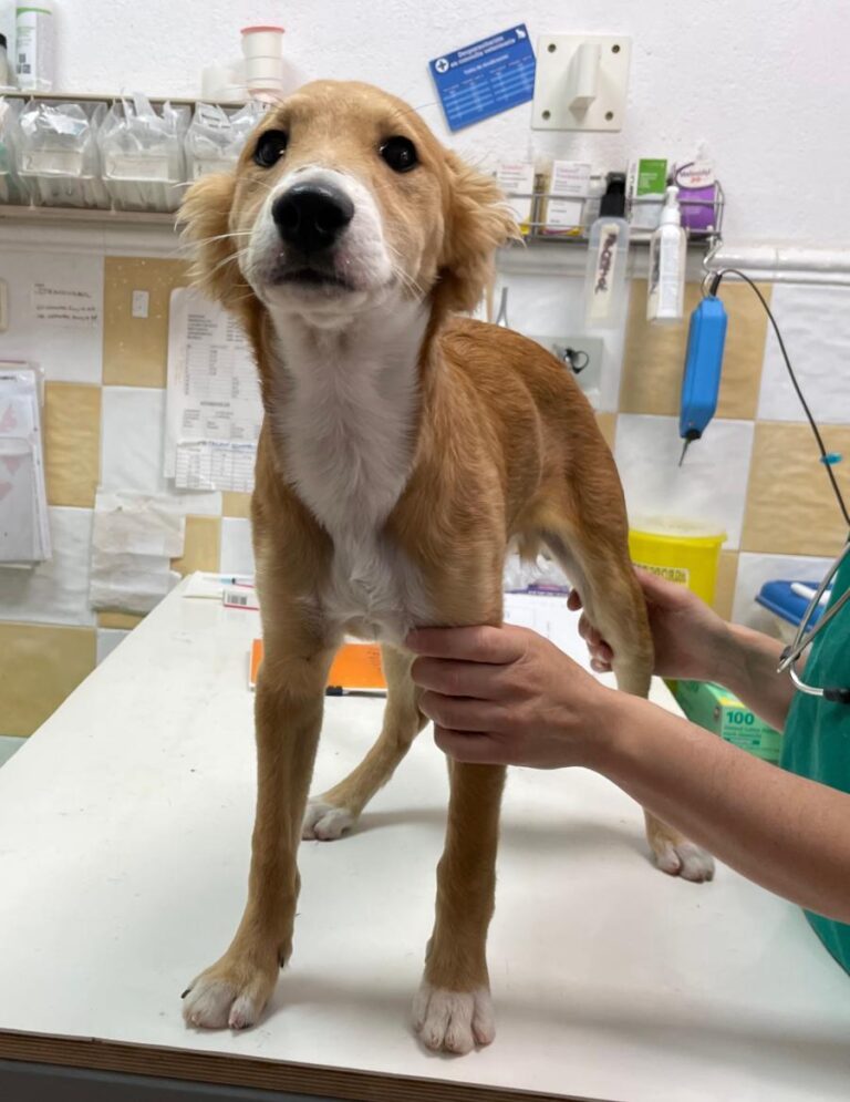 multimedia-foto72729-87-1