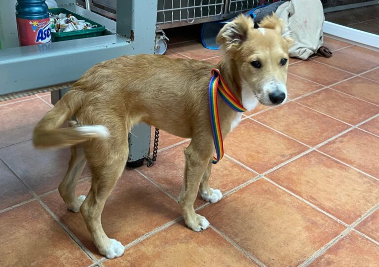 multimedia-foto72731-87-1