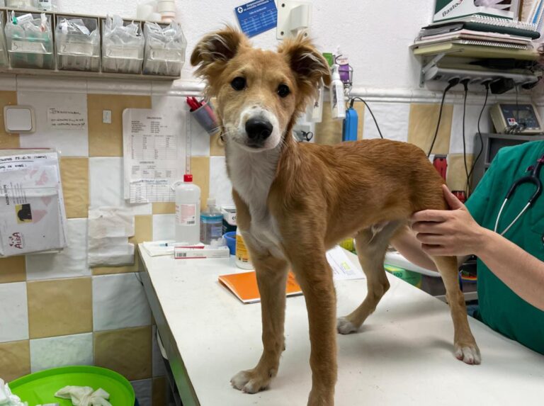 multimedia-foto72734-88-1