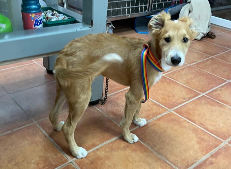 multimedia-foto72736-88-1