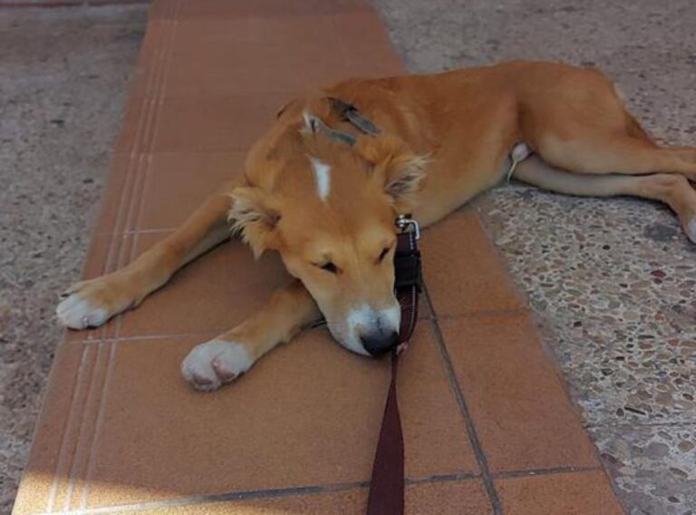 multimedia-foto72737-88-1