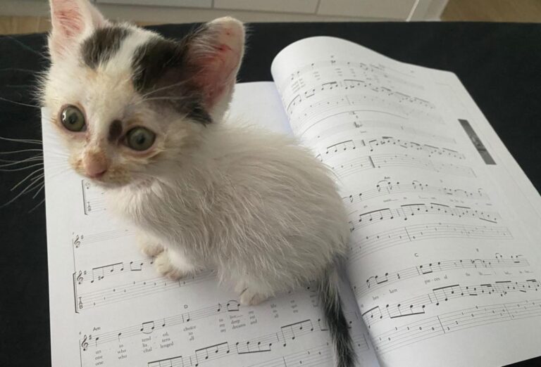 multimedia-foto72796-86-1