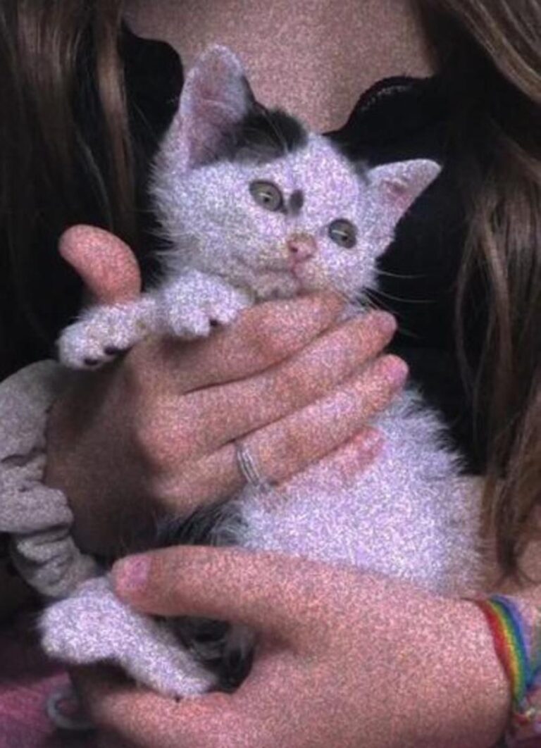 multimedia-foto72797-87-1