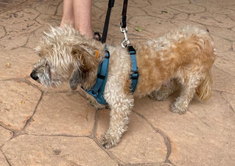 multimedia-foto72833-734-1