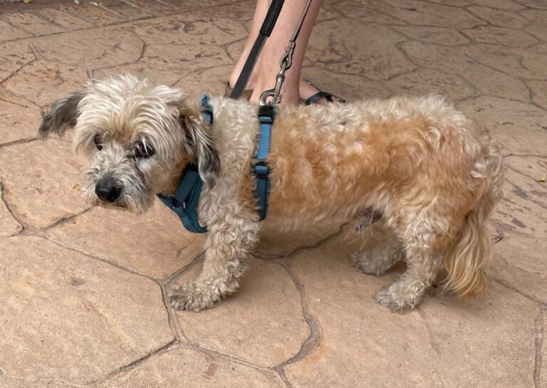 multimedia-foto72834-735-1