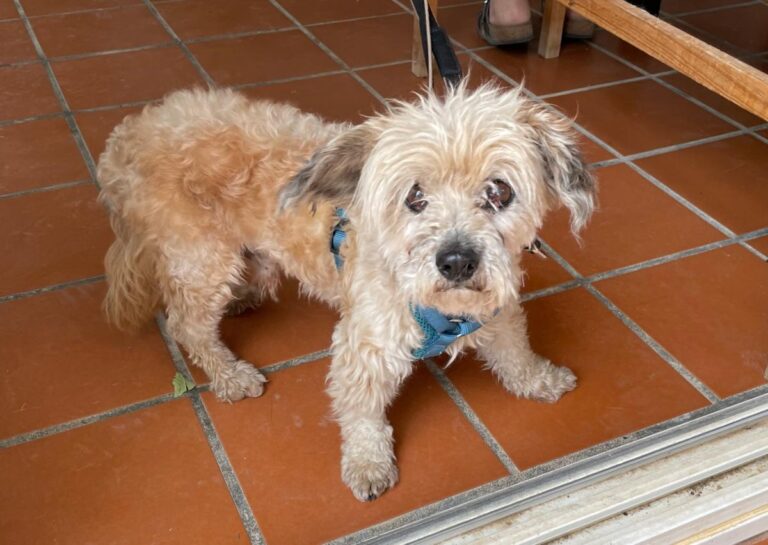 multimedia-foto72835-735-1