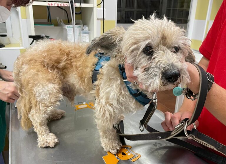 multimedia-foto72836-735-1